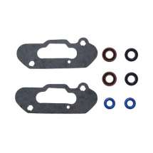 Комплект прокладок RAVE клапана BRP 09-710303E