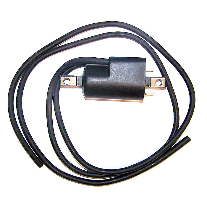 Катушка зажигания BRP 717 004-178